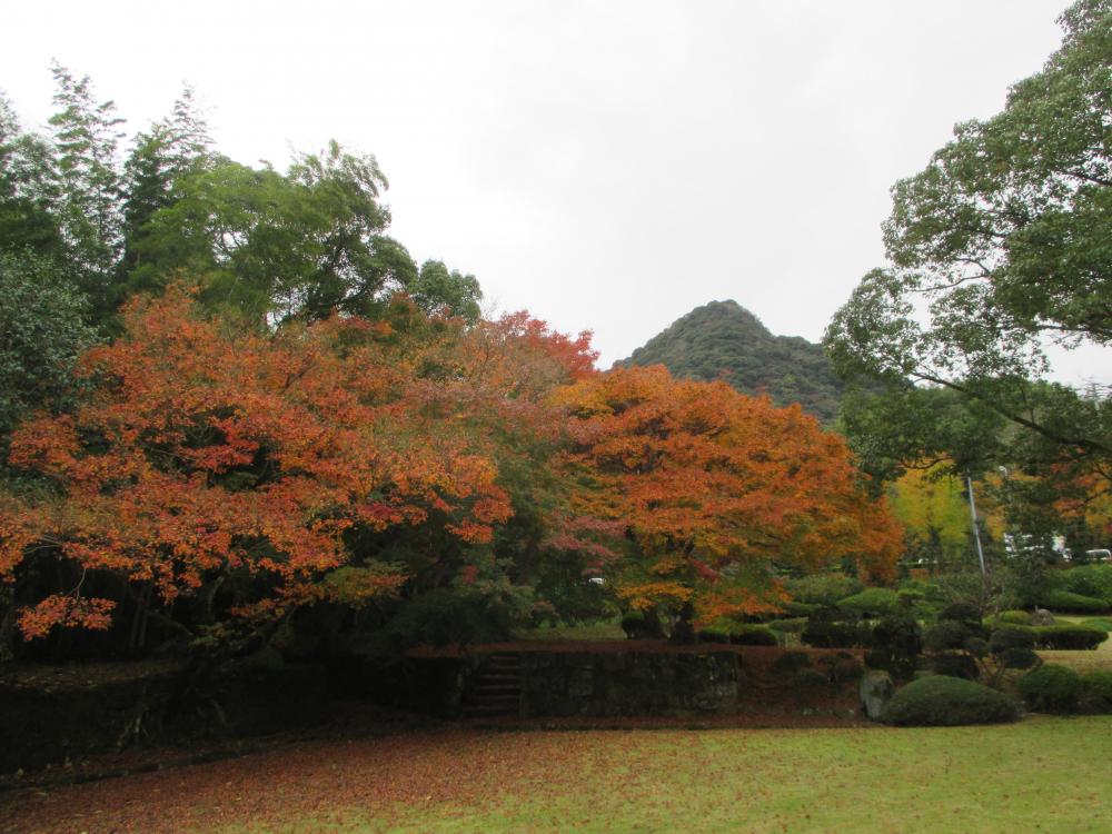 武雄市文化会館庭園.JPG