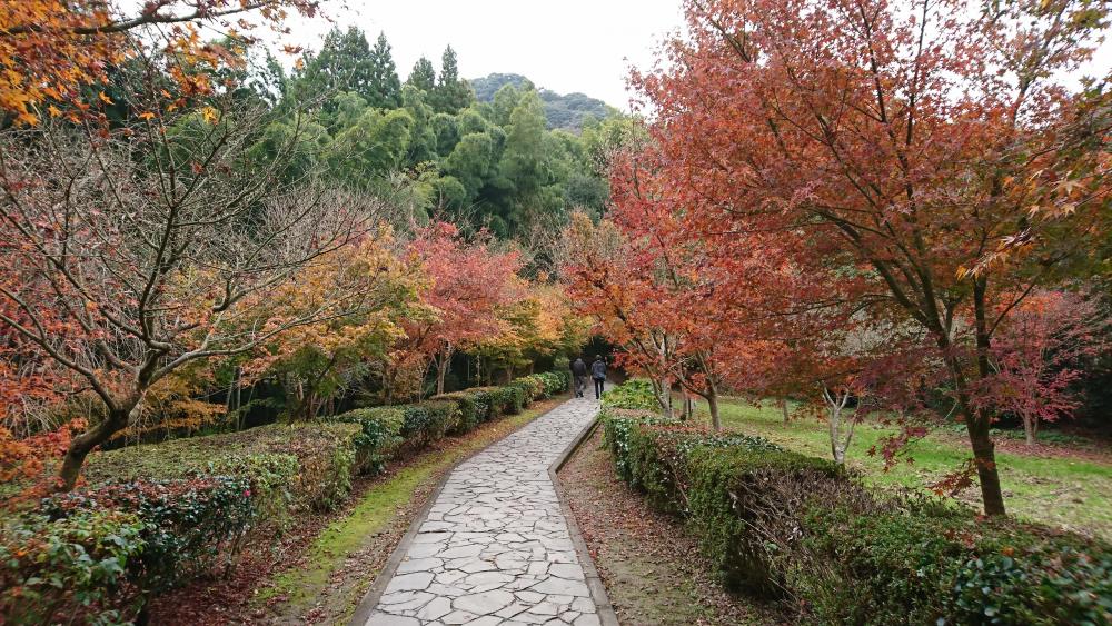 武雄神社紅葉4.JPG