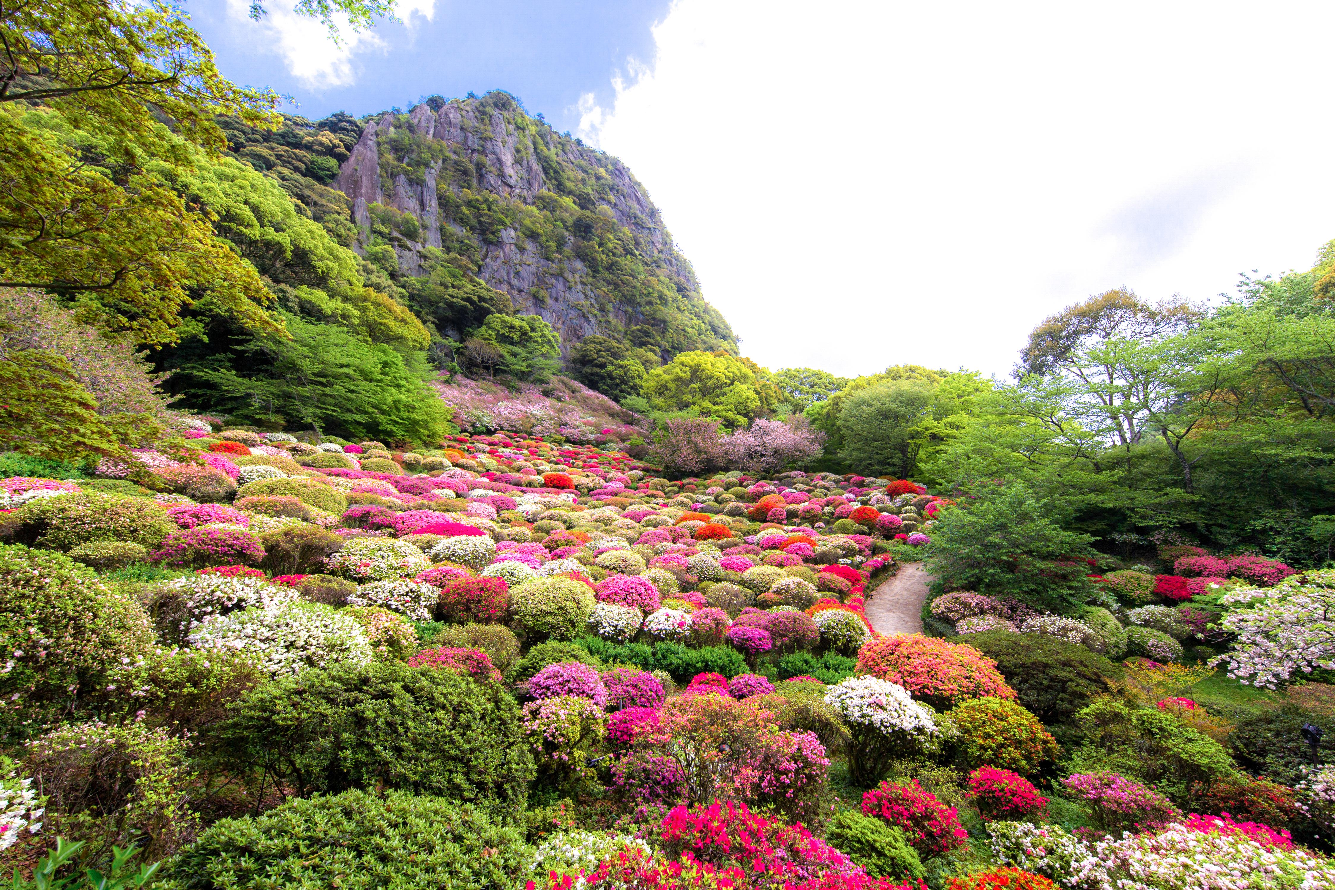 御船山楽園つつじ谷①.jpg