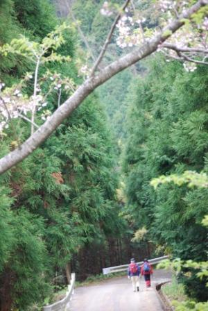 黒髪山　登山