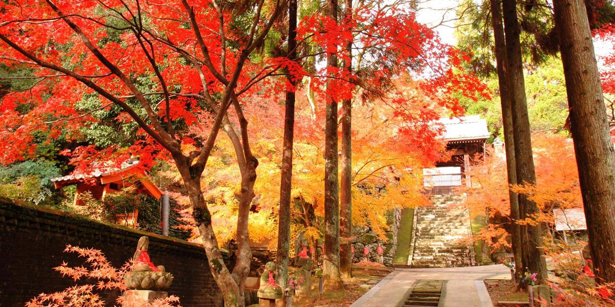廣福寺