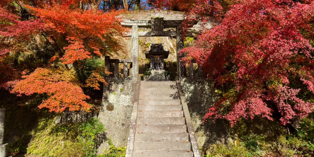 桜山公園