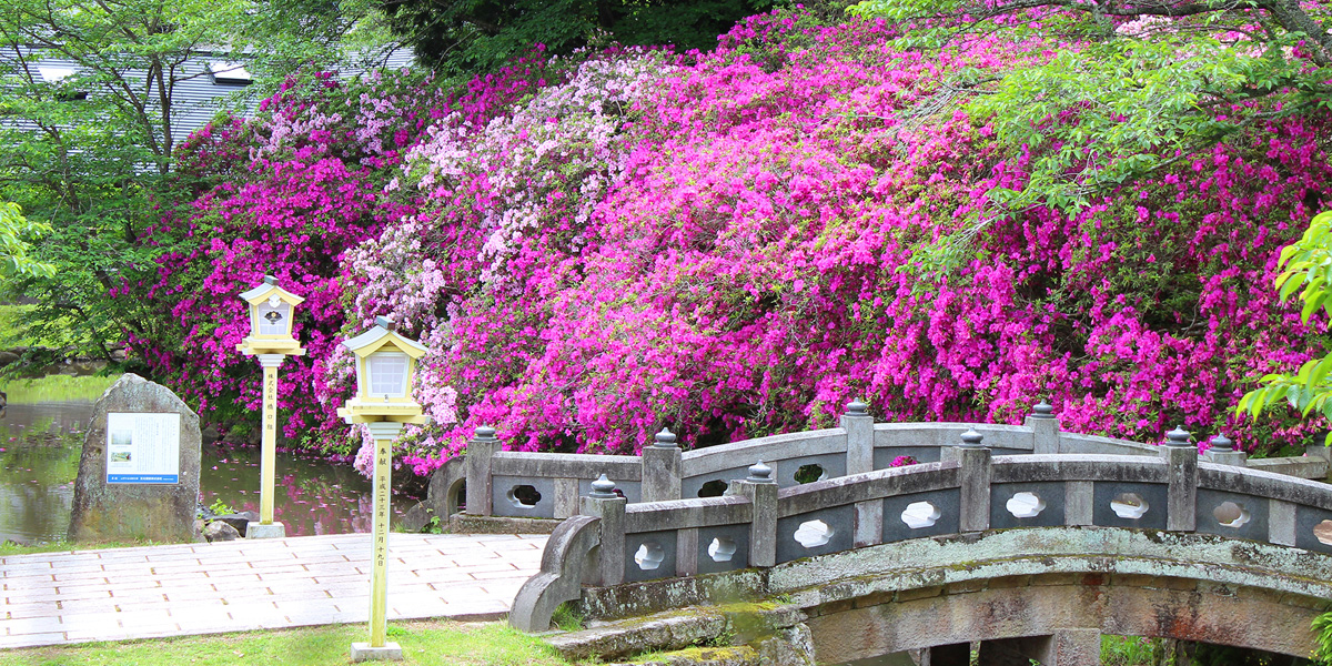 武雄神社