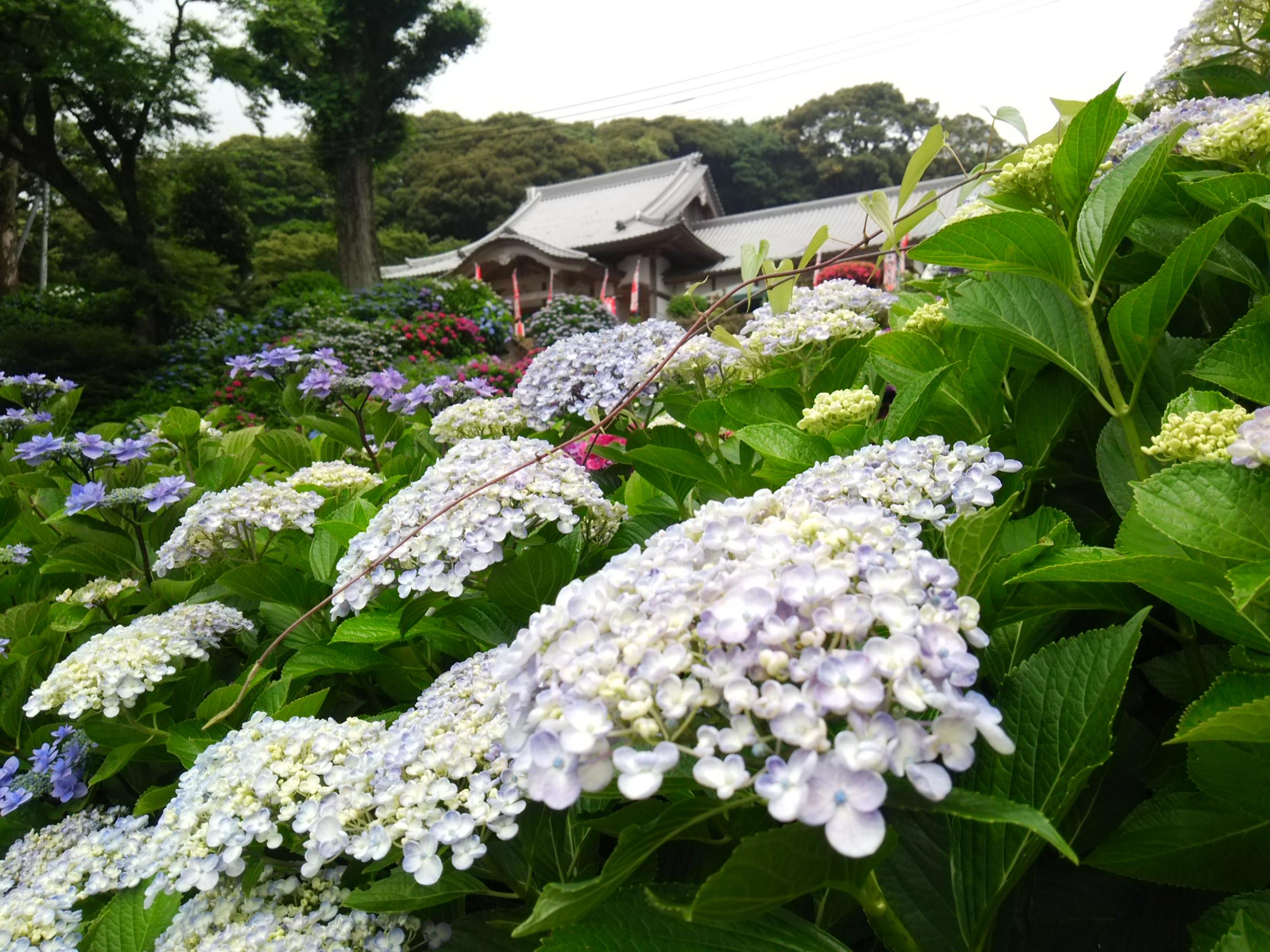 http://www.takeo-kk.net/image/uploads/DSC_0993.JPG