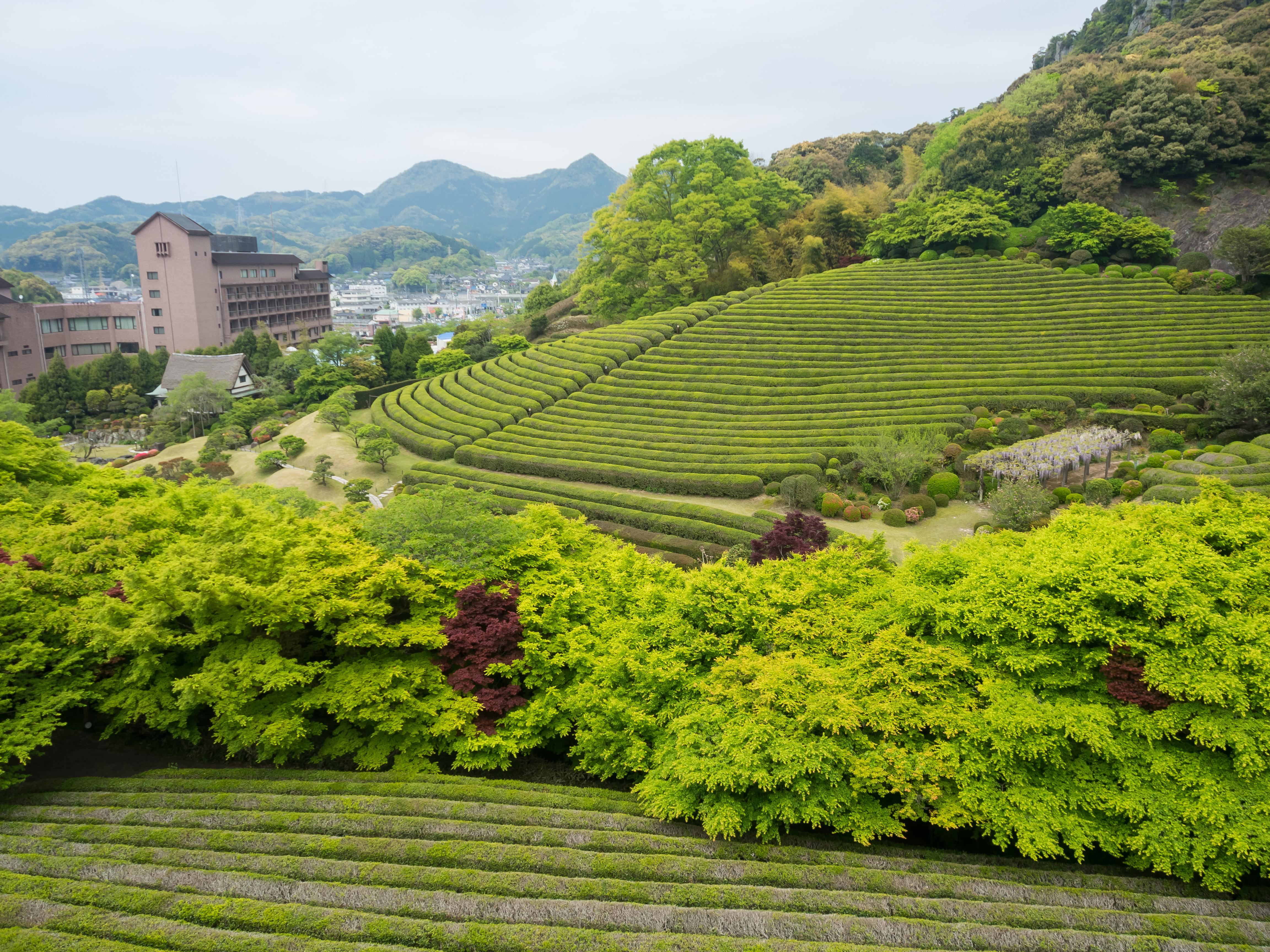 陽光美術館・慧洲園