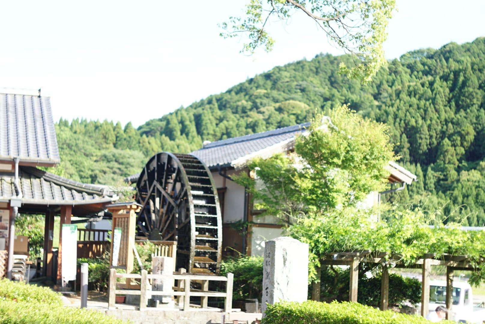 川古の大楠