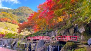 慧洲園紅葉.jpeg