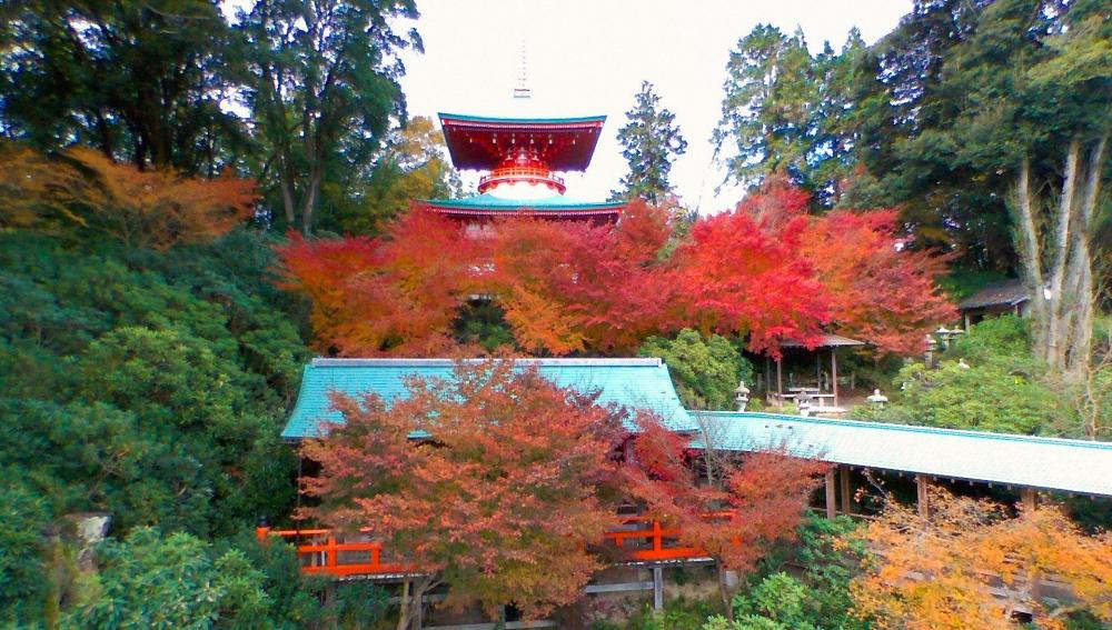高野寺紅葉02.jpg