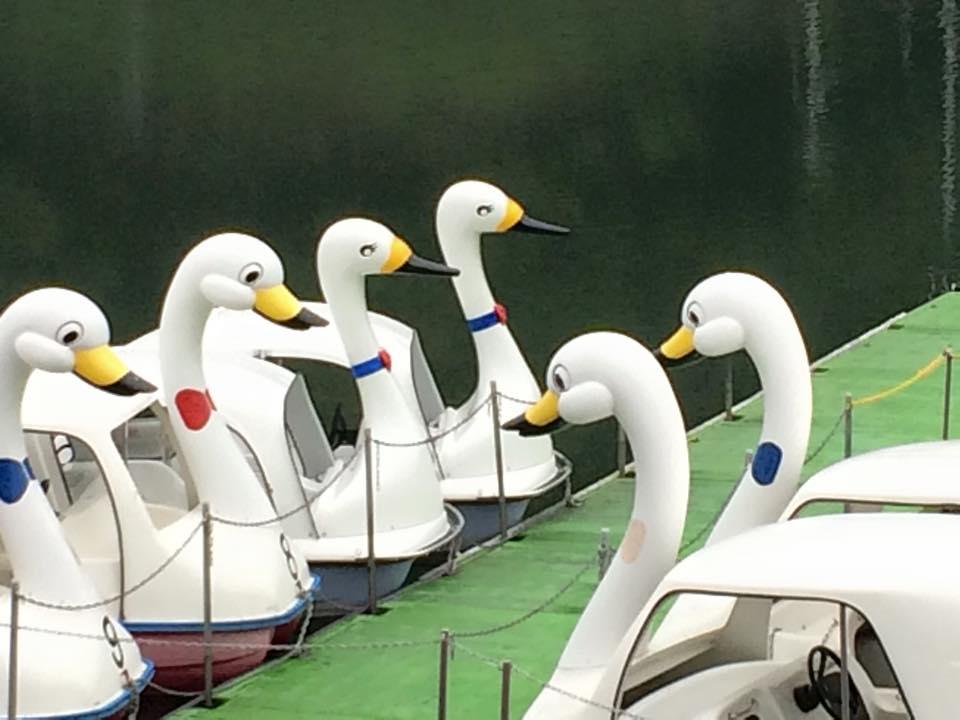 武雄温泉保養村 観光ボート