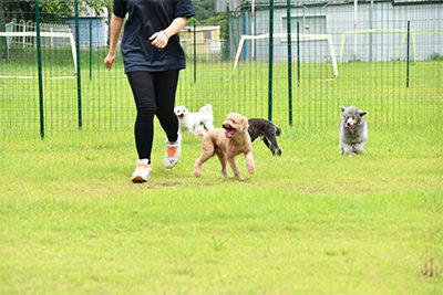 森とリスの遊園地 メルヘン村