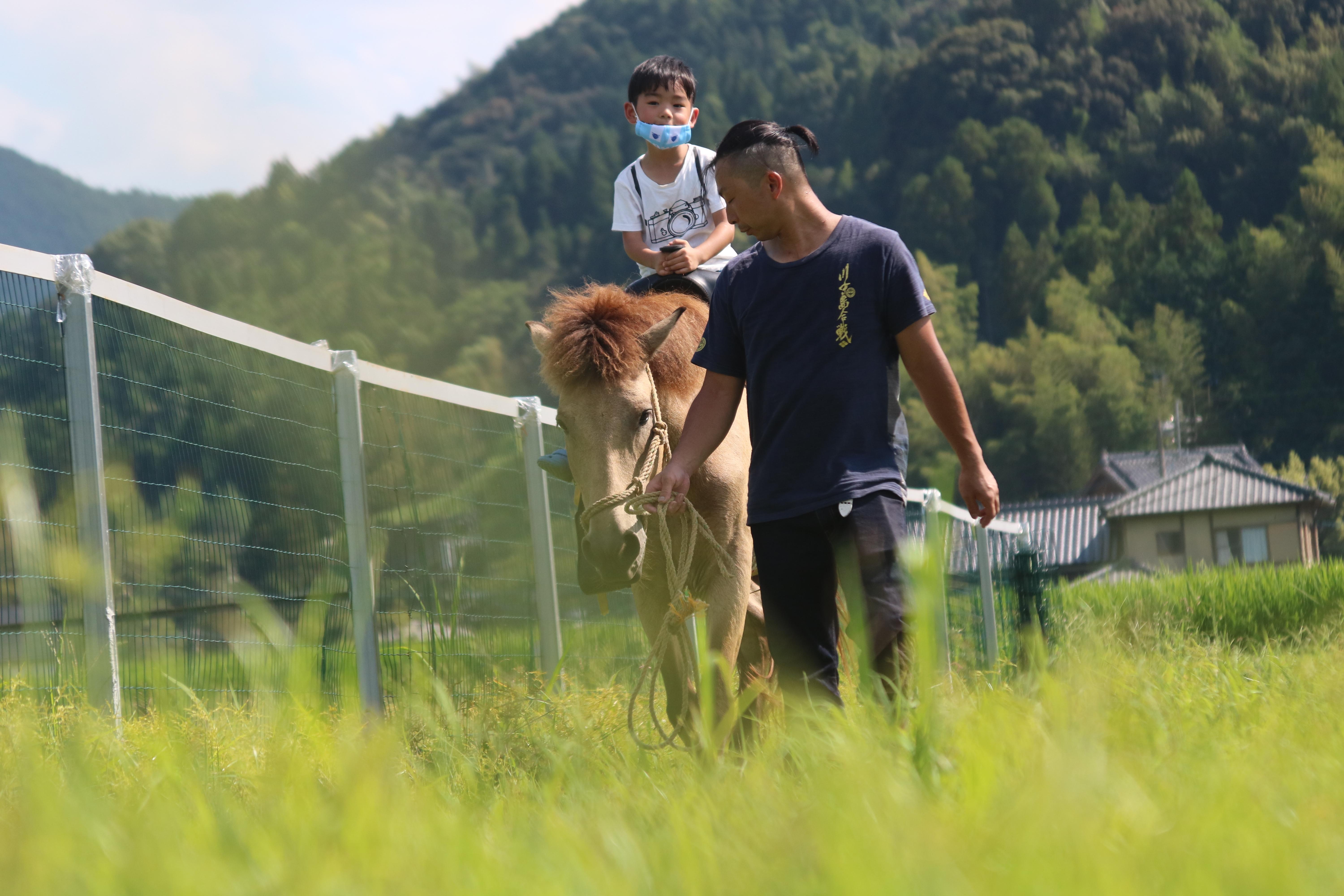 和馬との乗馬体験【ファルコンウィングクラブ】
