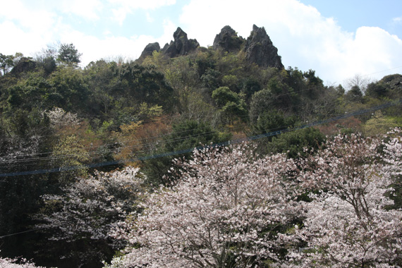 桜山公園