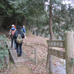 山岳遊歩道展望所