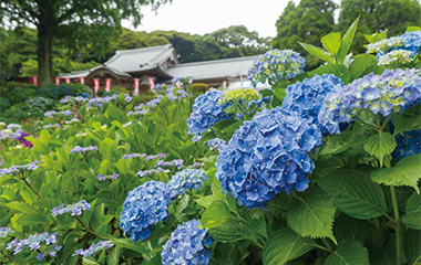 大聖寺