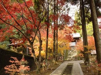 ⑩廣福寺紅葉 004.jpg